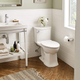 Illustration for article titled The Best Toilet Brands, According to Our Readers